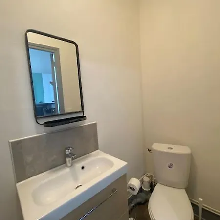 Duplex Quartier Des Thermes Le Cygne 9 *